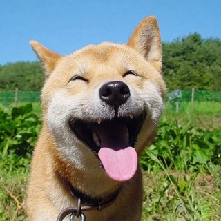 Telegram profile photo for картинкотред