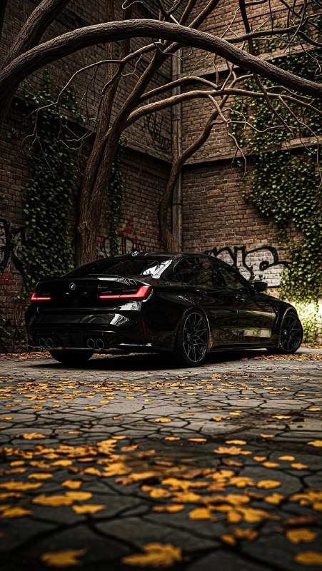 BMW M Powerhttps://t.me/bmw_mpower_club@bmw_mpower_club#bmw #mpower #bmwmpower #