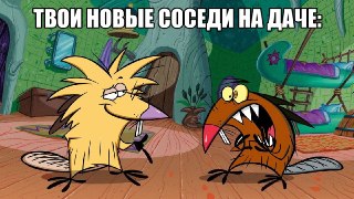 Популяция бобров в Подмосковье выросла почти в 70 раз после того, как из моды вышли шапки из их меха.В 1970-х в регионе оставалось всего 150–200 животных — остальных практически истребили ради шкур для шапок, воротников и другой зимней одежды. Сейчас числе