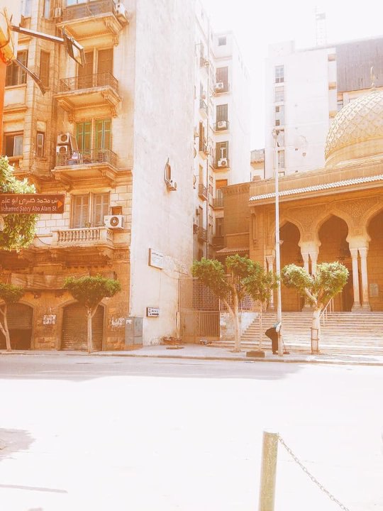 喪禮後把自己丟到路上的那女人，一年後