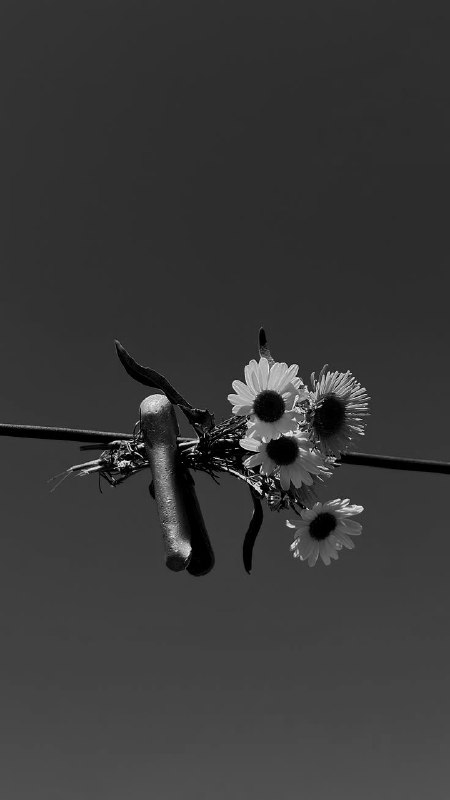 Autistic: Flowers.Flowers.