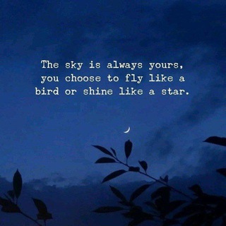 Telegram profile photo for Quotes ― Thoughts
