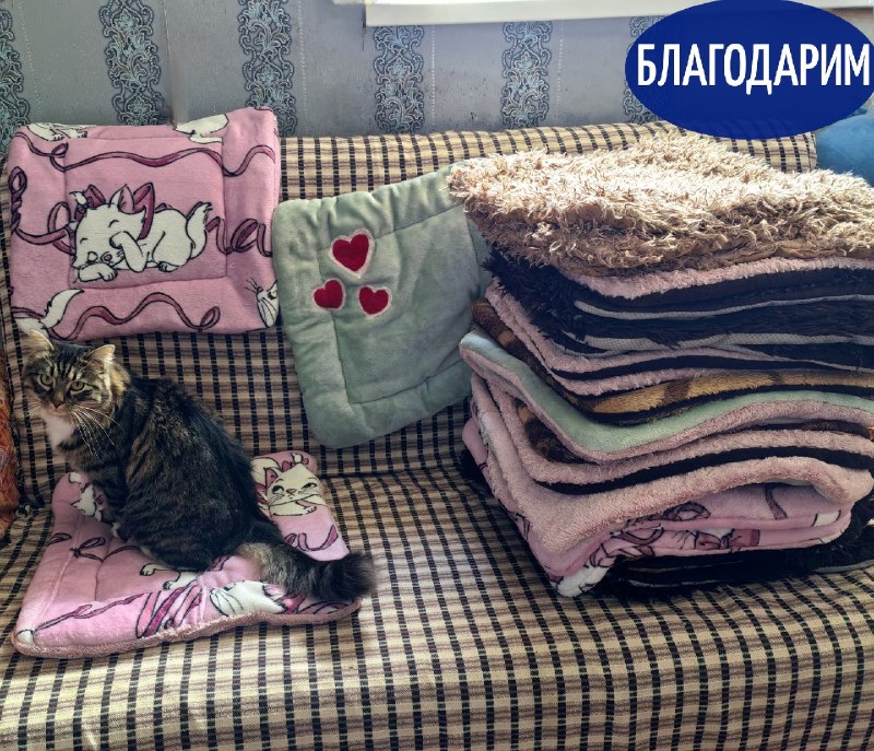 Выражаем благодарность очаровательной Наталье за...