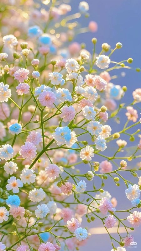 شکرستان: اونی که برات گل می‌فرسته تا چشمات قشنگی ببینن اومده بهت صبح بخیر بگه😊💕سلام صبح بخیر🌸‌‌