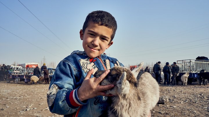 絲綢之路再出發II～帶你到喀什牛羊巴扎逛一逛