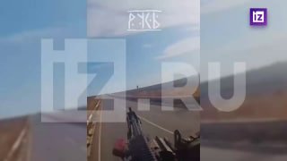 זאב קנדי שחולץ בשם יומה הפך לקמע החי של יחידת התקיפה של רוסיה בדונבאס. הצבא קלט את בעל החיים, שהוחזק בתנאים…