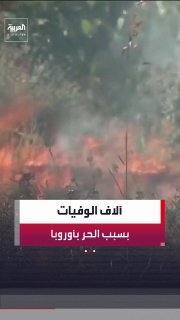 גל חום עולמי קטלני: אלפי הרוגים, שריפות נרחבות ואזהרות אקלים