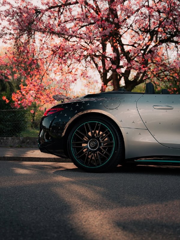 AMG SL 63 Motorsport Collectors Edition, 1 из 100 экземпляров в мире 10