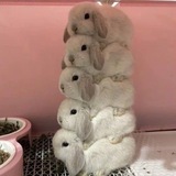 щитпост аба рабов