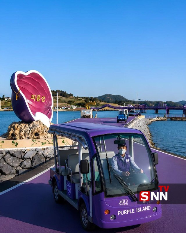 SNN.ir|خبرگزاری دانشجو: 📸مقصدی بدون خودرو با ورودی رایگان برای بنفشپوشها🔸«جزیره بنفش» در کره جنوبی یکی از متفاوتترین جاذبههای گردشگری این کش