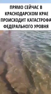 Экологическая катастрофа на черноморском побережье!https://t.me/s/nemediatem