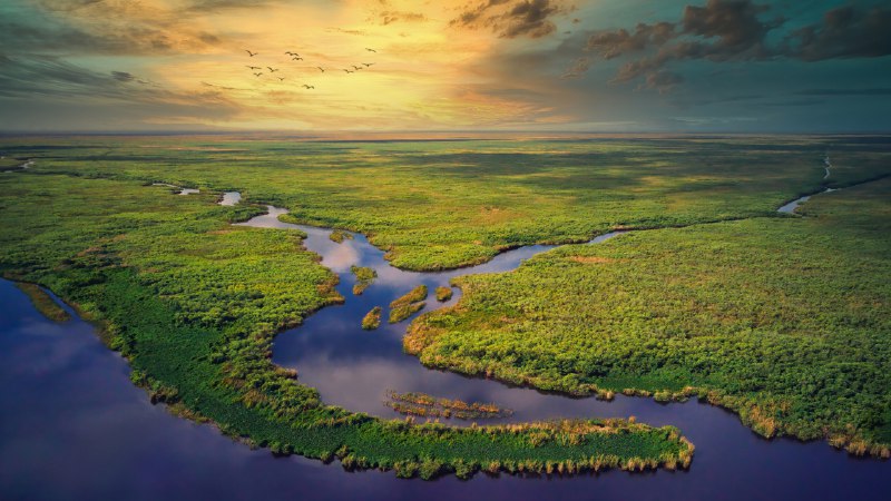 A river of grassAerial view of Everglades National Park, Florida (© Robert DelVecchio - OcuDrone/Getty Images)