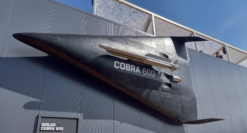 جنگاوران: اولین پرواز Cobra 600؛ پهپاد جت آلمانی برای شکار جنگنده‌هااین پرنده با وزن برخاست حدود ۶۰۰ کیلوگرم، در نخستین آزمایش حدو