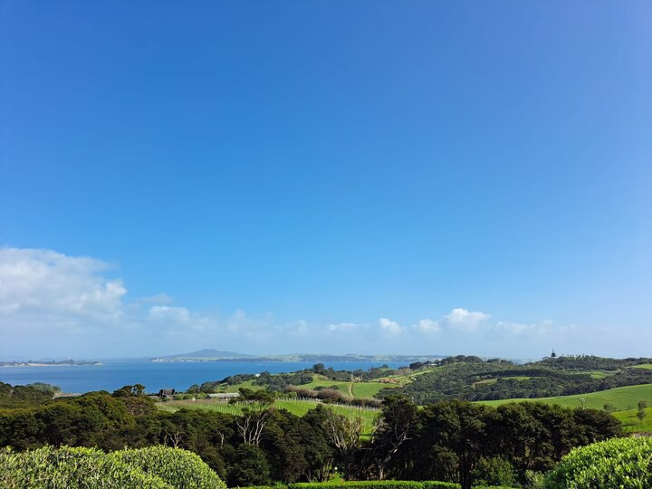 【(紐西蘭)奧克蘭攻略~懷希基島篇 〥】〜〆另一個小島│酒莊林立的世界