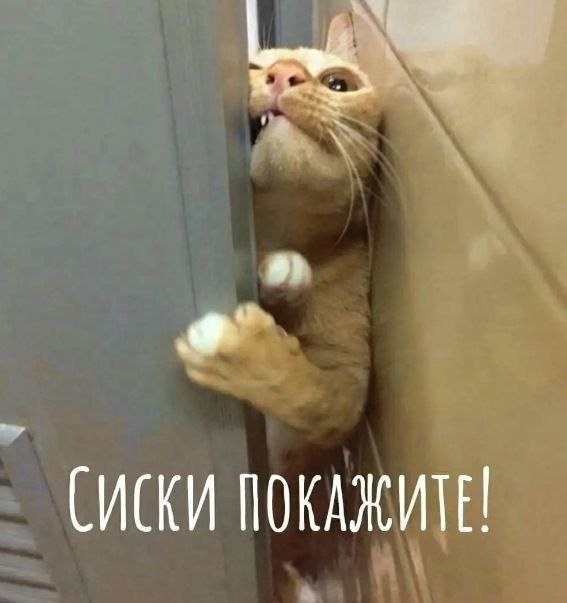 Продаётся Huynday Elantra. Цена $1000 — фото 1