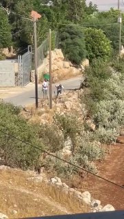 مستوطنون مسلحون يشنون عربدة على أطراف دوما شرقي نابلس