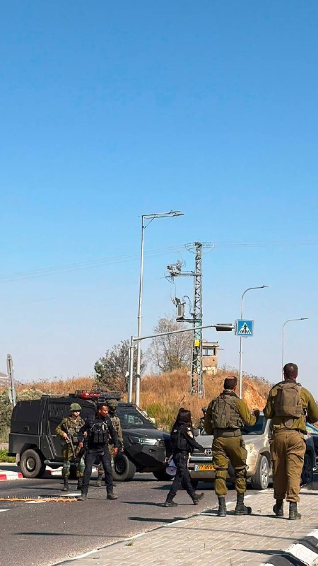 ענבר טויזר