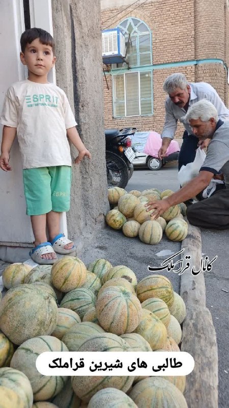 کانال محله فرهنگی تاریخی قراملک: طالبی های شیرین محله ی قشنگمون قراملک🇮🇷‌‌‌‌‌‌‌‌‌‌‌‌‌‌‌‌‌‌‌‌‌‌‌‌‌‌‌‌‌‌‌‌‌‌‌‌‌‌‌‌‌‌‌‌‌‌‌‌‌‌‌‌‌‌‌‌‌‌‌‌‌‌‌‌‌‌‌‌‌‌‌‌‌‌‌‌‌‌‌‌ 