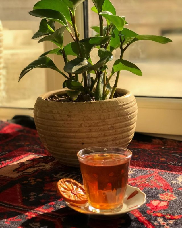 🫂همدلی🫂: ☕️ شنیدید میگن: حتی خود قهوه هم وقتی دلش میگیره چایی میخوره؟ 🙂🍮 عصرتون به خیر و به چای 🍮➡️ @Hamdeli20 🌺🍃
