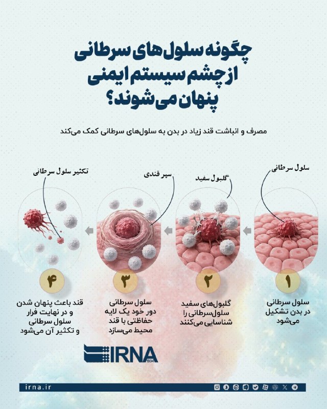 📋 מידע IRNA חוקרים גילו במחקר חדש שתאים סרטניים משתמשים בסוכר בסביבתם כדי ליצור שכבת הגנה על פני השטח שלהם…