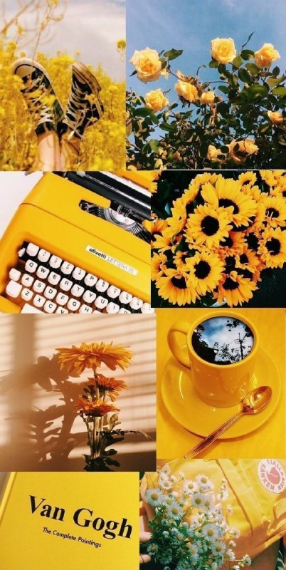 • زرد خواهم مآند💛 •: 🌻౨ৎ ⋆𝗕𝗮𝗰𝗸𝗴𝗿𝗼𝘂𝗻𝗱💛 ݁ ᧔࿔ @ZRD_CHNL ᧓🌻౨ৎ ⋆𝗕𝗮𝗰𝗸𝗴𝗿𝗼𝘂𝗻𝗱💛 ݁ ᧔࿔ @ZRD_CHNL ᧓
