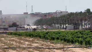 גאנם איברהים
