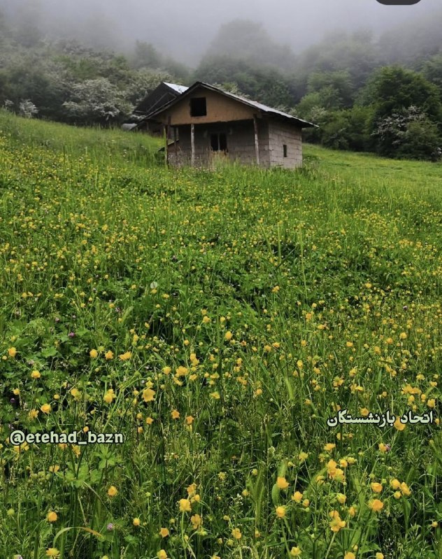اتحاد بازنشستگان: 🍃🍃 سه‌شنبه ۲۷ مرداد ۱۴۰۵۱۸ آگوست ۲۰۲۶۵ ربیع‌الاول ۱۴۴۸اتحاد بازنشستگان@etehad_bazn