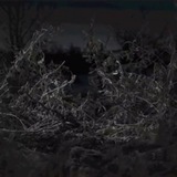 Dark2web Video