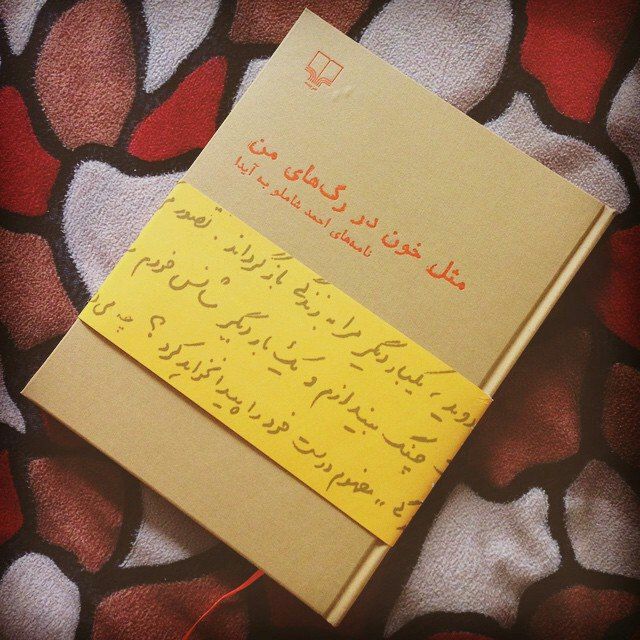 مخاطب ذهن بیدار و خاص: آیدای خوشگلم!مشامم از عطر آغوش تو پر است،آخر چرا تو نباید الان پیش من باشی!؟تو همزادِ من هستی. من سایه‌یی هستم که بر اثر