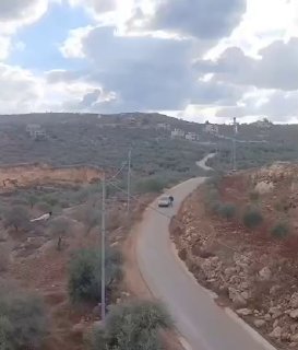 מתנחלים גונבים כלי מסיק זיתים של חקלאים מאדמות העיירה ביתא מדרום לשכם.