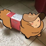 кошки