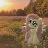 🎀Anitya pletët🎀