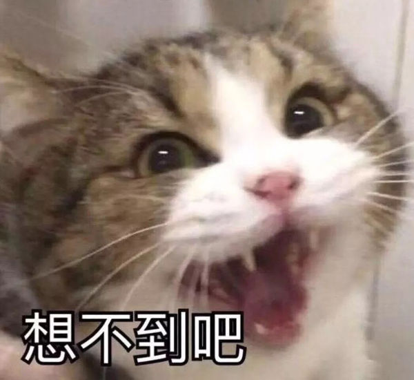 沙巴 機+酒自由行｜吉隆玻只是新手入門！？想深度遊大馬就從「這裡」開始！