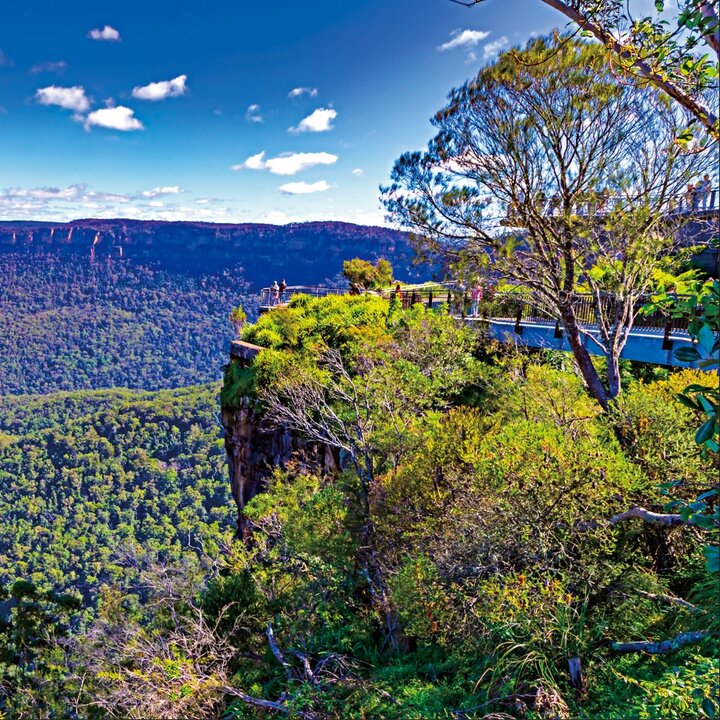 澳洲經典照片分享