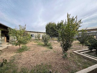 Land for rent 20 sotok