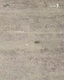 בעקבות ההודעה על זיהום הנפט בחוף קשם, הודיע מנכ"ל הורמוזגן להגנת הסביבה כי זיהום זה זוהה בכ-32,000 מ"ר בחוף…