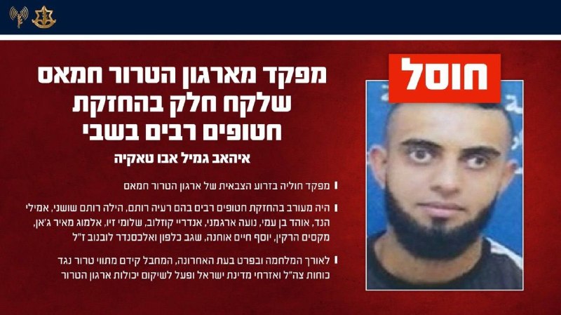 דובר צה"ל: