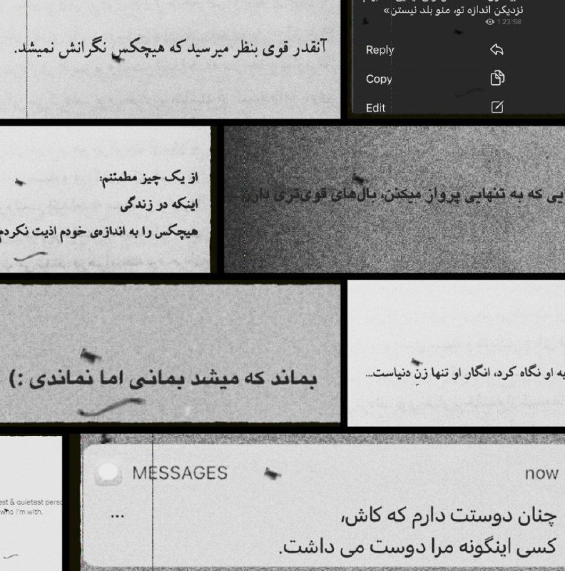 حس خوب آرامش 🌱: دیدی یه وقتایی دنبال متن قشنگ میگردی که استوری کنی اینجا معدنشه ؛متناش بشدت قشنگ و مودن :)Zhakav
