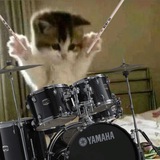 Доминанта🥁