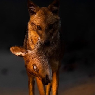 🤫