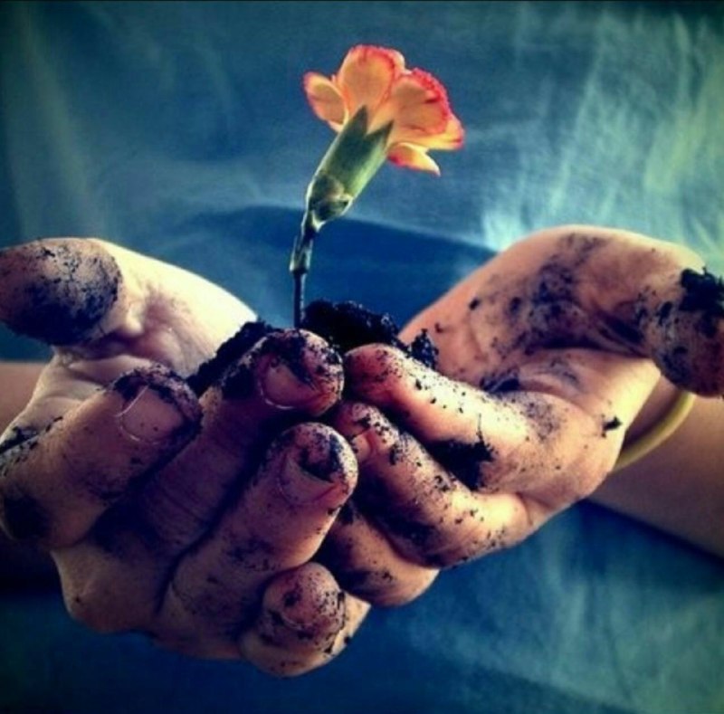 ❤️ حریم عشق ❤: ﺩﺳﺘﻢ ﺑﻮﯼ ﮔﻞ ﻣﯽ ﺩﺍﺩ، ﻣﺮﺍ ﺑﻪ ﺟﺮﻡ ﭼﯿﺪﻥ ﮔﻞ ﻣﺤﮑﻮﻡ ﮐﺮﺩﻧﺪ، ﺍﻣﺎ ﻫﯿﭻ ﮐﺲ ﻓﮑﺮ ﻧﮑﺮﺩ ﺷﺎﯾﺪ ﻣﻦ ﺷﺎﺧﻪ ﮔﻠﯽ ﮐﺎﺷﺘﻪ ﺑﺎﺷﻢ!ارنستو چگوﺍﺭﺍ🌺🌺🍃