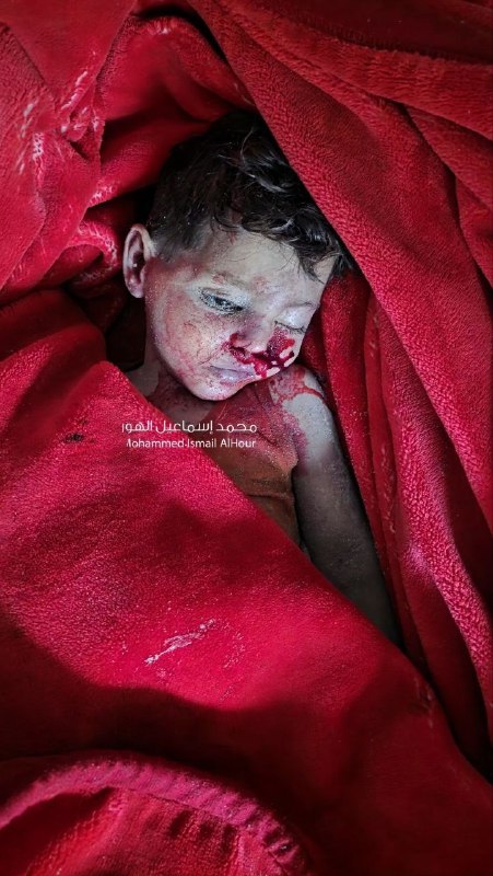 مرکز اطلاعرسانی فلسطین: 🔴بیش از ۲۱ هزار و ۵۰۰ کودک از آغاز جنگ در غزه به شهادت رسیدهانددفتر اطلاع رسانی دولتی غزه ادامه کشتار کودکان و غیرنظام
