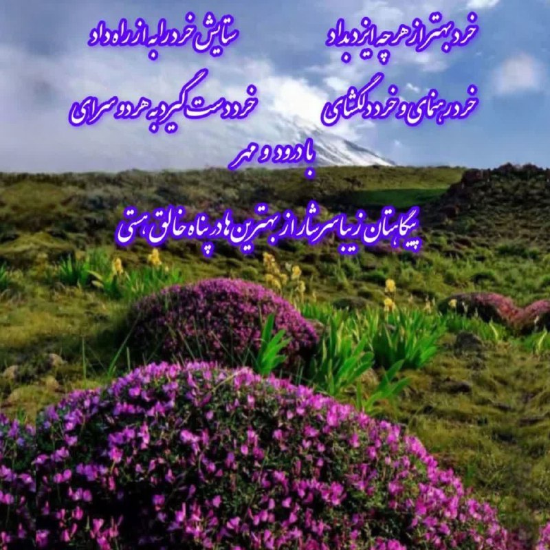 زواره نیوز: ☀️ امروز دوشنبه ۲ شهریور ۱۴۰۵🌙 ۱۱ ربیع الاول ۱۴۴۸🎄 ۲۴ اوت ۲۰۲۶🔸ذکر روز : یا قاضی الحاجات (۱۰۰مرتبه)💠️️