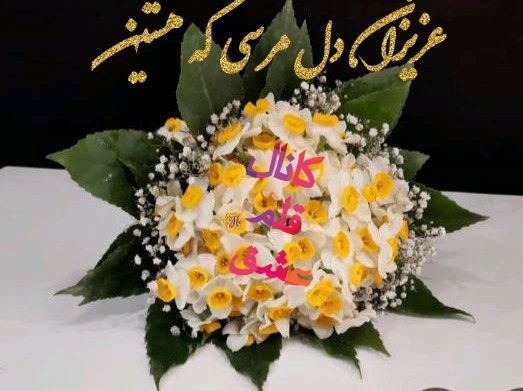 🍷‌قـٰٖـۘۘــٍٰلـٰٖـۘۘــٍٰم ؏ــــــــــشـٰٖـۘۘــٍٰـقۘۘ🍷: رسانه پست