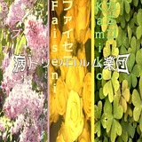 病トリフロルム楽団