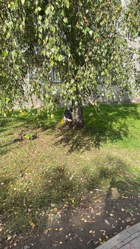 Image from a post by Новини Житомира | pzhytomyr