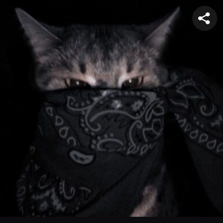 XxmaýmasxX Telegram Group Link