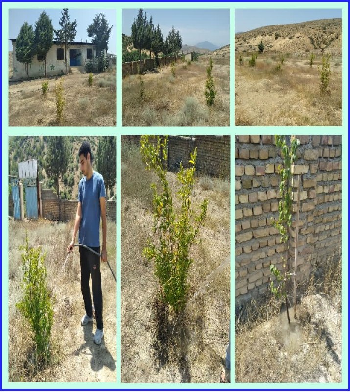 آموزش توسعه پایدار: 🌳 سومین مرحله اجرای پروژه «بیست‌وچهارم» مؤسسه در سال ۱۴۰۵🔹 دکتر شیرزاد محمدنژاد کیاسریمدیرعامل مؤسسه «توسعه فضای سبز پای