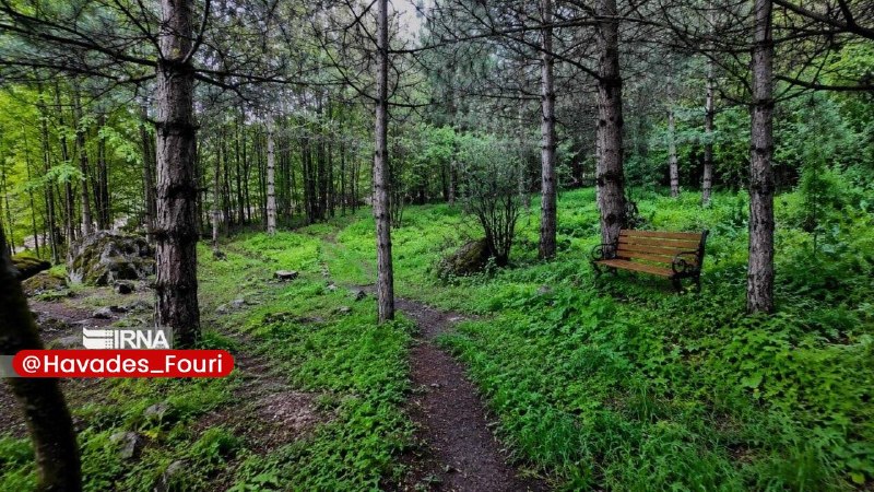 خبرفوری 🔖: پلیس تالش کودک ۱۰ ساله گمشده در جنگل را به آغوش خانواده بازگرداندفرمانده انتظامی تالش گفت:🔹ماموران انتظامی با انجام اقدا