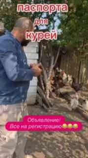 Россияне собираются нести кур и петухов в МФЦ из-за новых правил учета птицВ соцсетях вирусятся видео, на которых фермеры собираются нести кур и петухов в МФЦ для регистрации. С 1 сентября владельцы хозяйств, где содержится более 10 домашних птиц, должны п